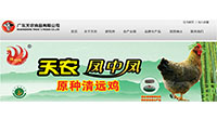 查看 广东天农集团打造中国清远鸡第一品牌 详情